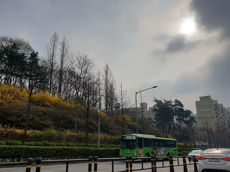 꽃놀이만 가나요?~임장과 함께하는 석촌호수 벚꽃축제 — 사진 15
